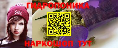 PSILOCYBIN Новодвинск